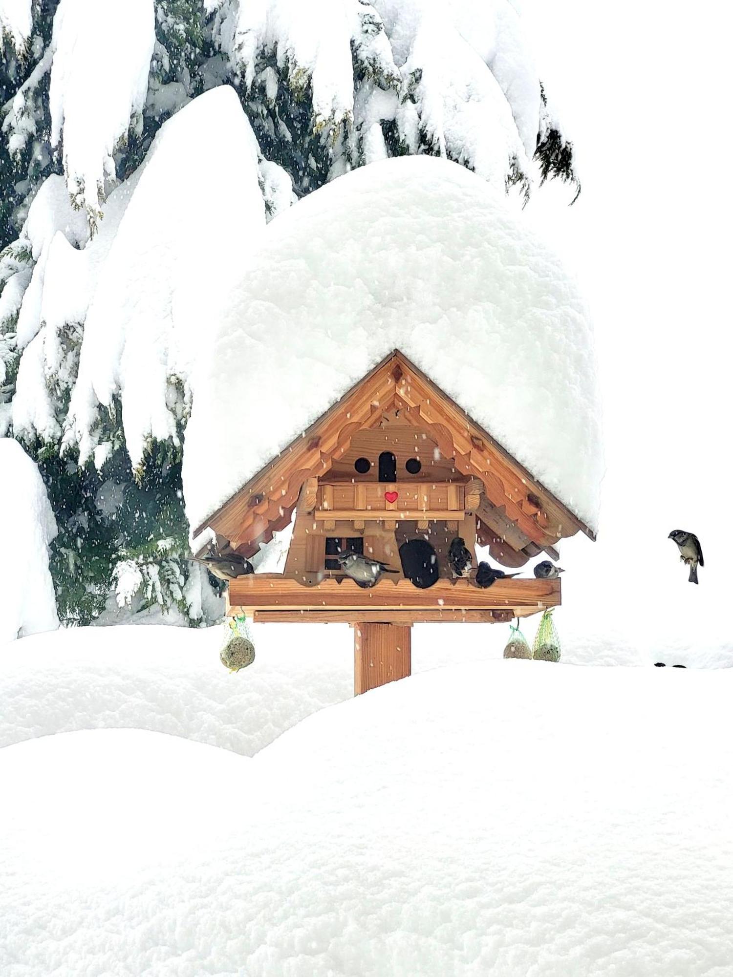 Gaestehaus Herma Ramsau am Dachstein Ngoại thất bức ảnh