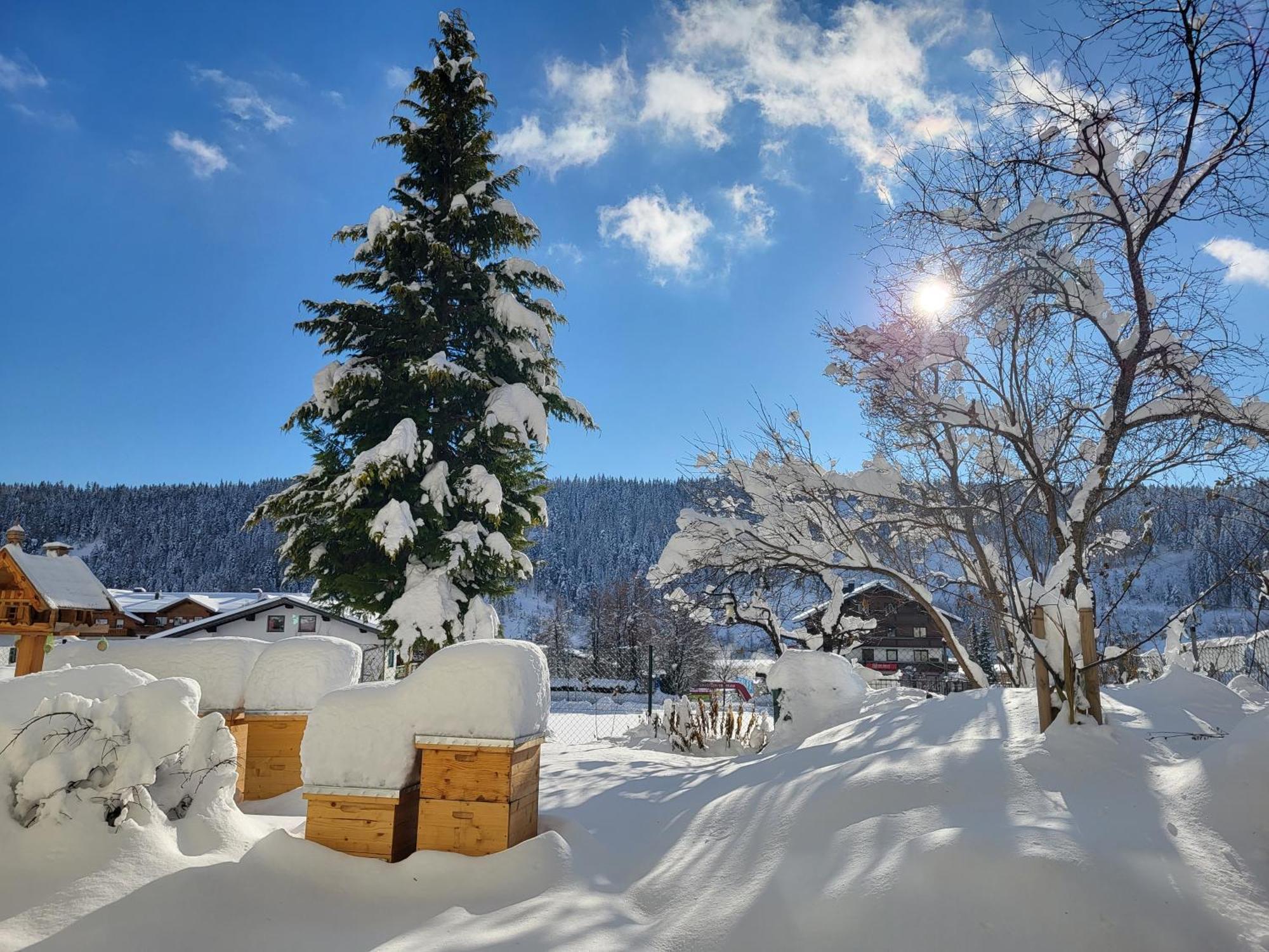 Gaestehaus Herma Ramsau am Dachstein Ngoại thất bức ảnh