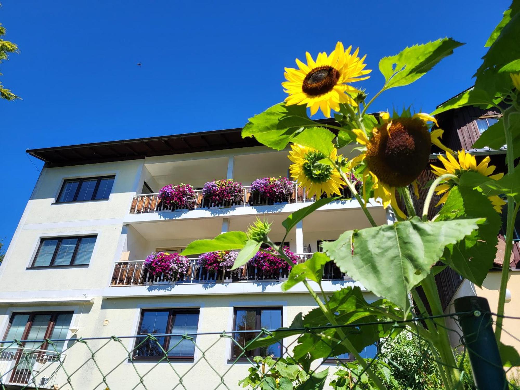 Gaestehaus Herma Ramsau am Dachstein Ngoại thất bức ảnh