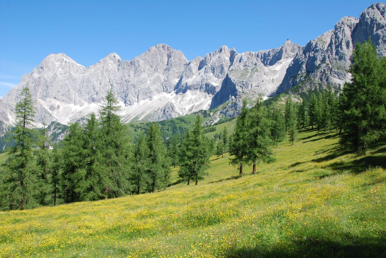 Gaestehaus Herma Ramsau am Dachstein Ngoại thất bức ảnh