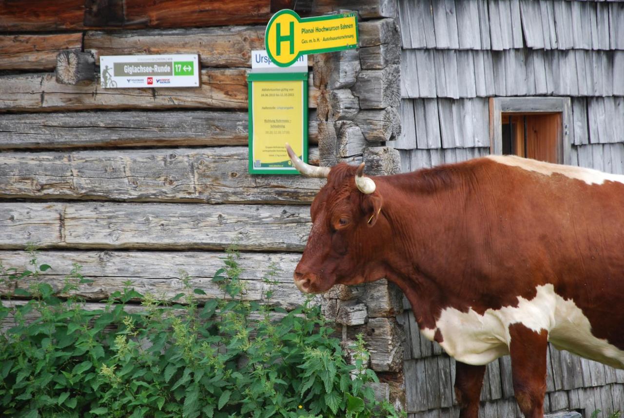 Gaestehaus Herma Ramsau am Dachstein Ngoại thất bức ảnh