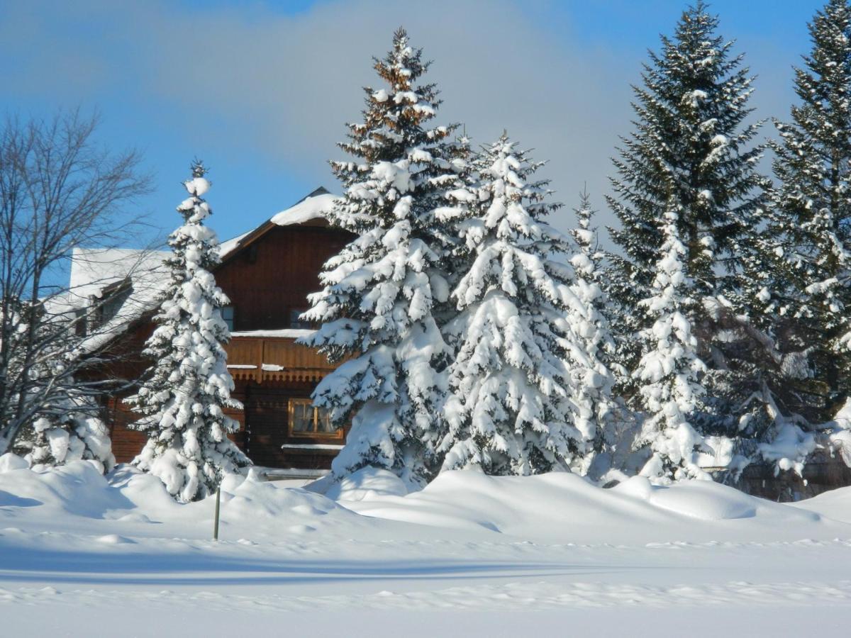 Gaestehaus Herma Ramsau am Dachstein Ngoại thất bức ảnh